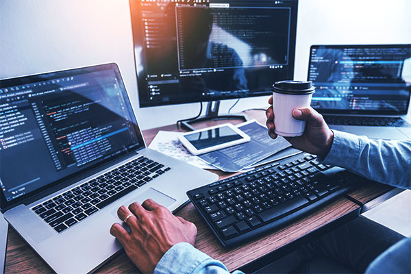 IT Software Services